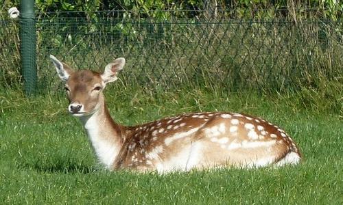 Veel levensgeluk en gezondheid toegewenst